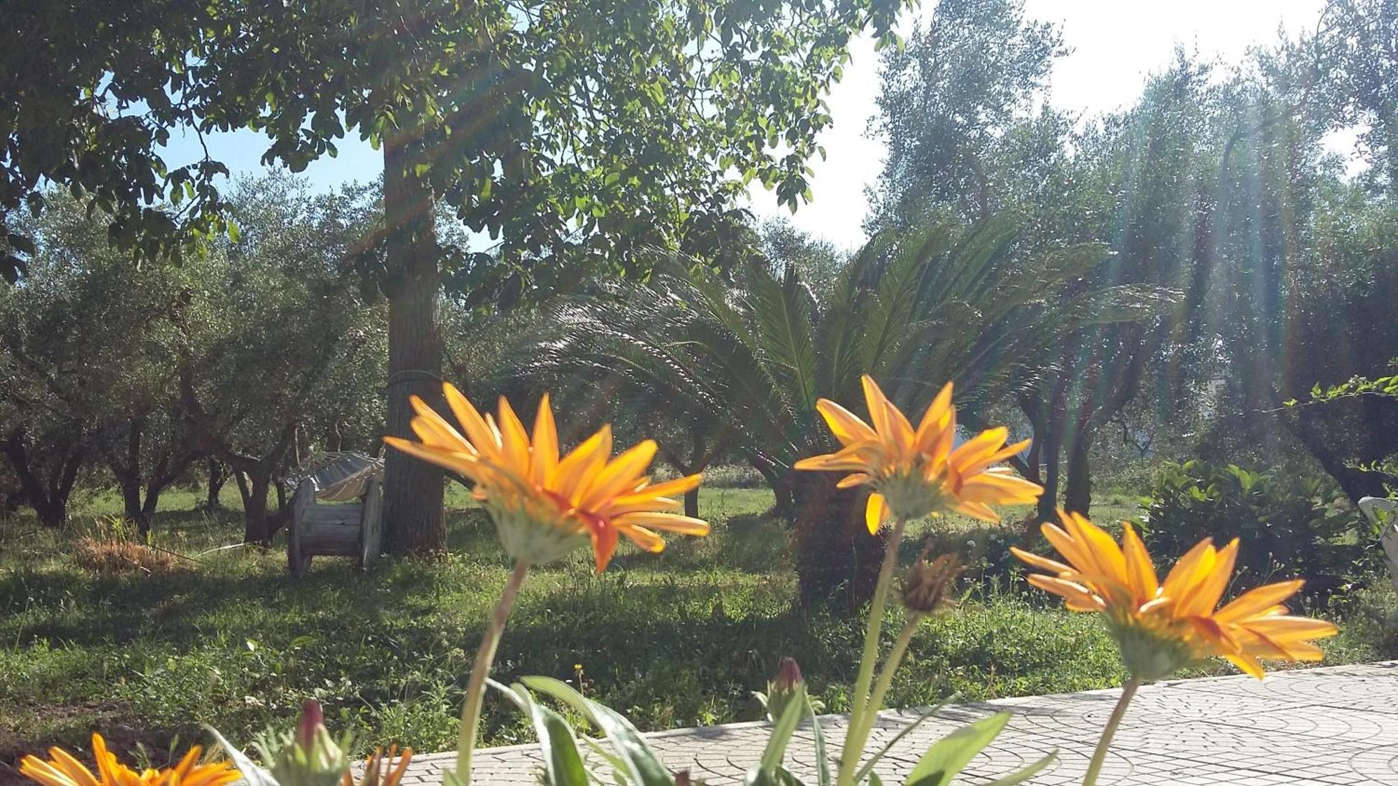 Agriturismo Santa Maria Марта Екстериор снимка