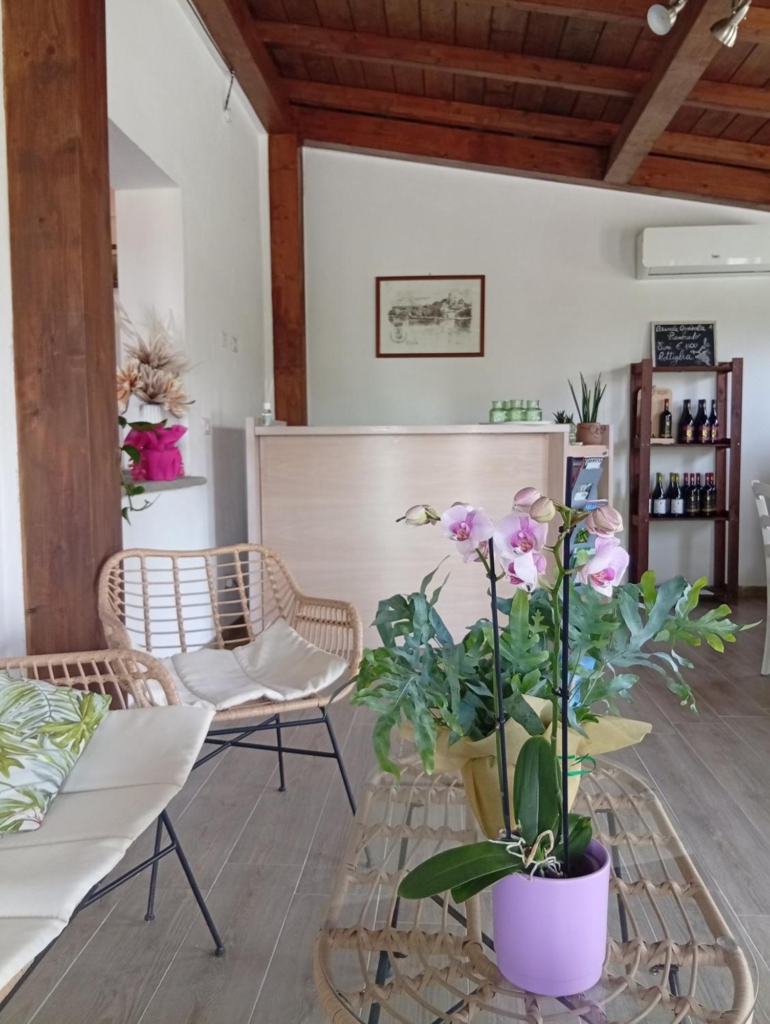 Agriturismo Santa Maria Марта Екстериор снимка