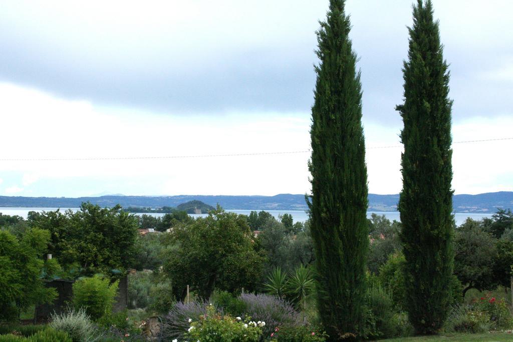 Agriturismo Santa Maria Марта Стая снимка