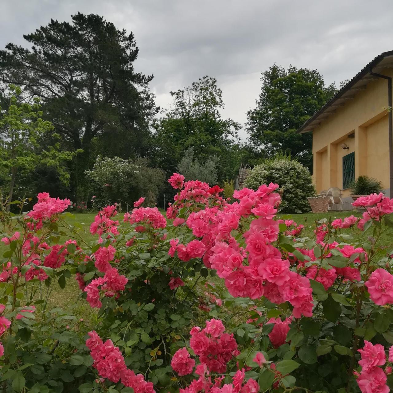Agriturismo Santa Maria Марта Екстериор снимка