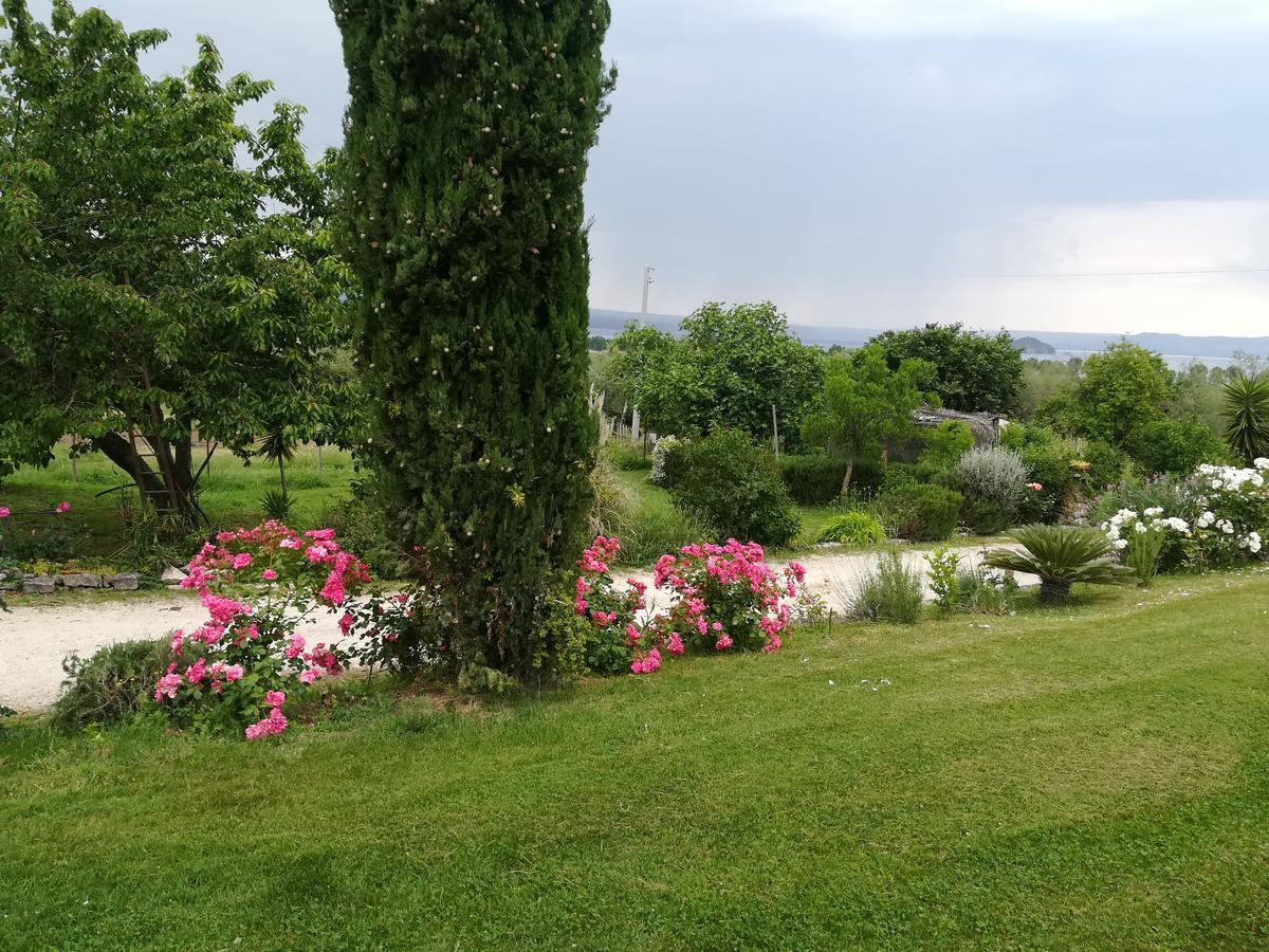Agriturismo Santa Maria Марта Екстериор снимка