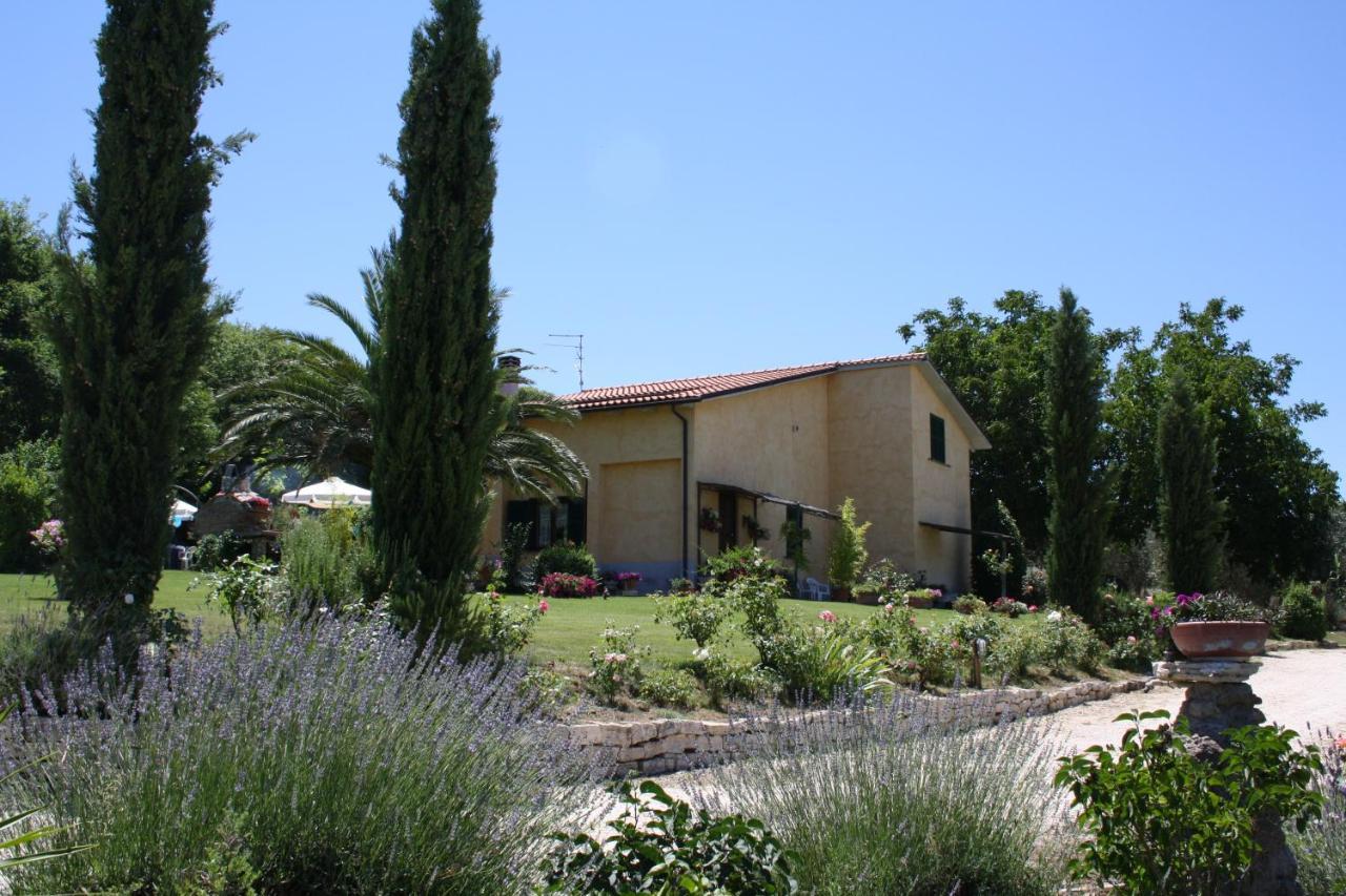 Agriturismo Santa Maria Марта Екстериор снимка